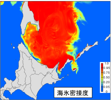 日本沿岸海況監視予測システム海氷GPVの配信領域説明図